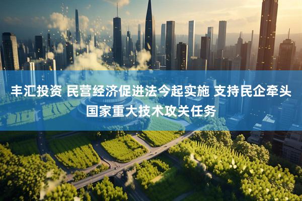 丰汇投资 民营经济促进法今起实施 支持民企牵头国家重大技术攻关任务