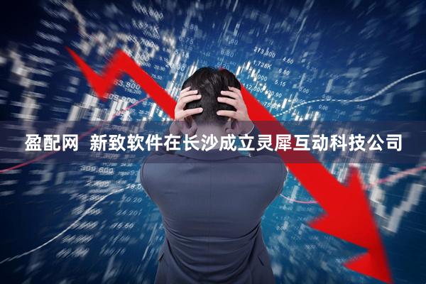 盈配网  新致软件在长沙成立灵犀互动科技公司