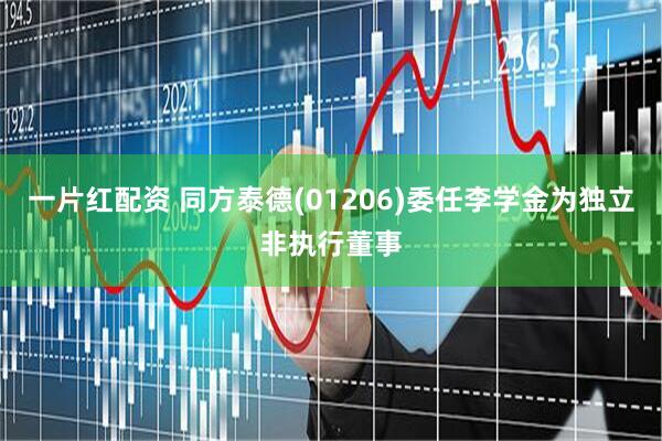 一片红配资 同方泰德(01206)委任李学金为独立非执行董事