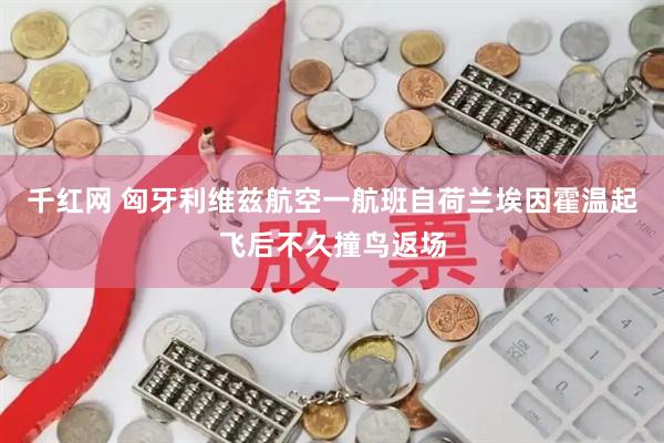 千红网 匈牙利维兹航空一航班自荷兰埃因霍温起飞后不久撞鸟返场