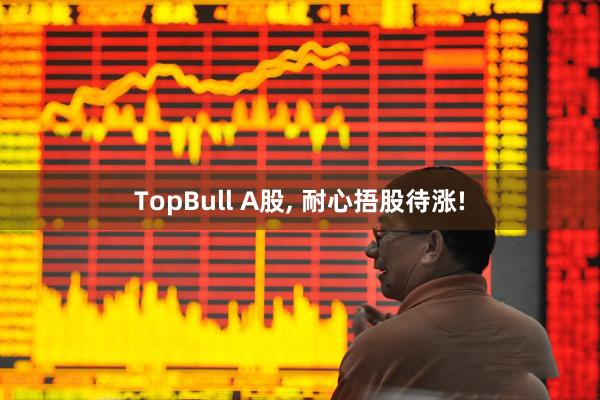 TopBull A股, 耐心捂股待涨!
