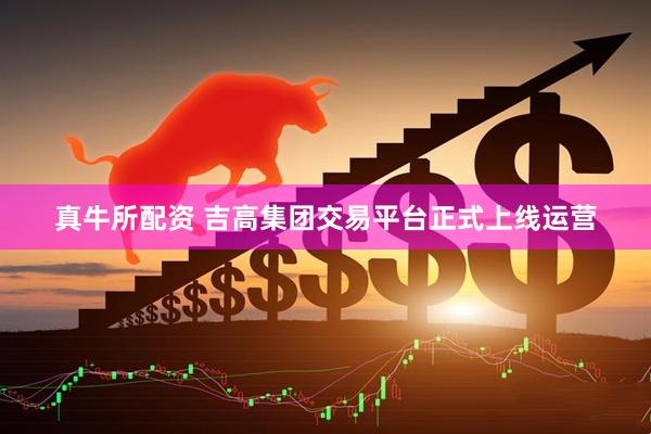 真牛所配资 吉高集团交易平台正式上线运营