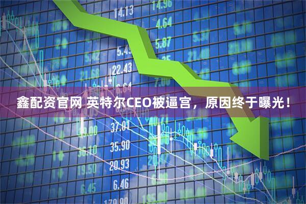 鑫配资官网 英特尔CEO被逼宫，原因终于曝光！