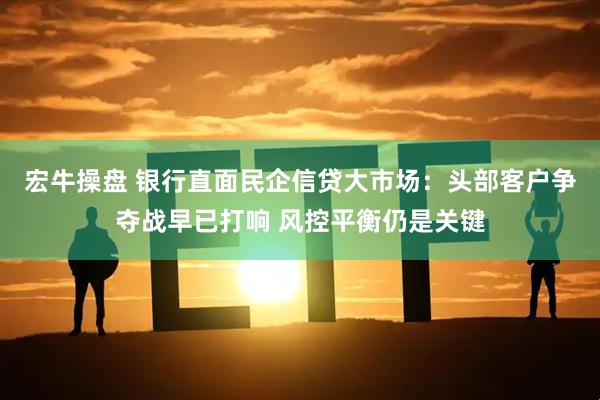 宏牛操盘 银行直面民企信贷大市场：头部客户争夺战早已打响 风控平衡仍是关键