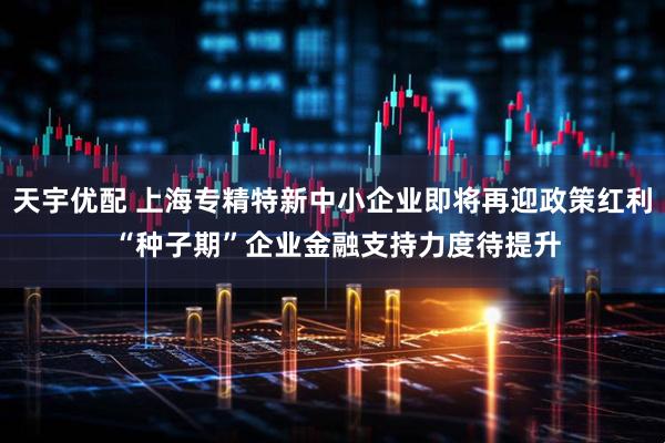 天宇优配 上海专精特新中小企业即将再迎政策红利 “种子期”企业金融支持力度待提升