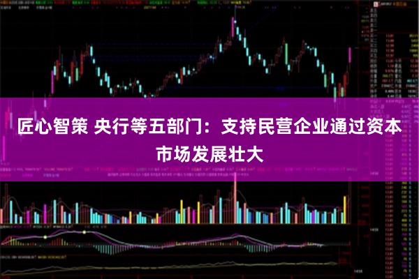 匠心智策 央行等五部门：支持民营企业通过资本市场发展壮大