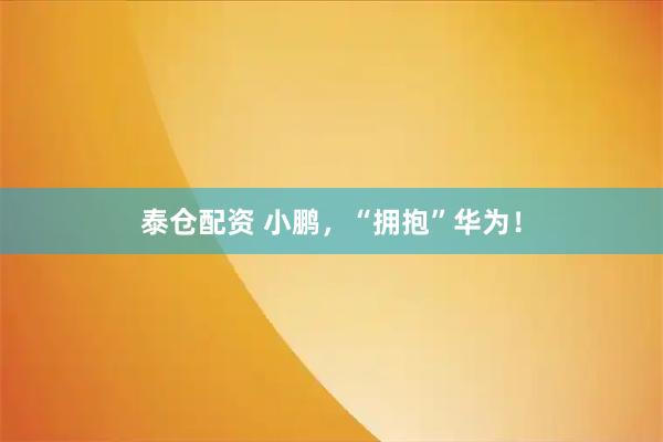 泰仓配资 小鹏，“拥抱”华为！