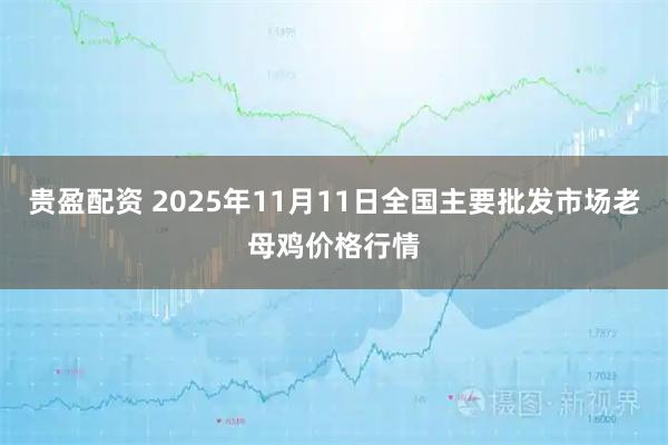 贵盈配资 2025年11月11日全国主要批发市场老母鸡价格行情