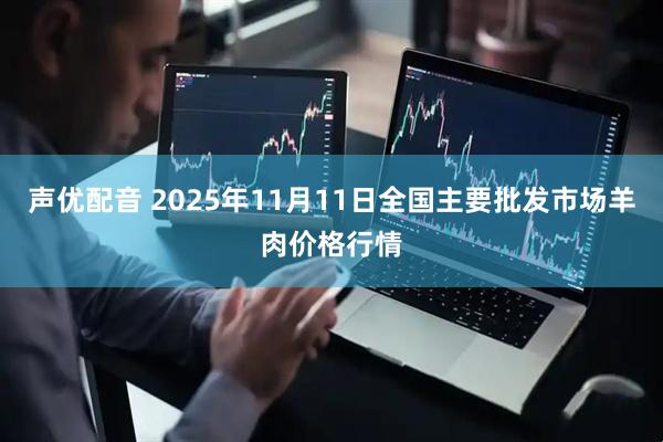 声优配音 2025年11月11日全国主要批发市场羊肉价格行情